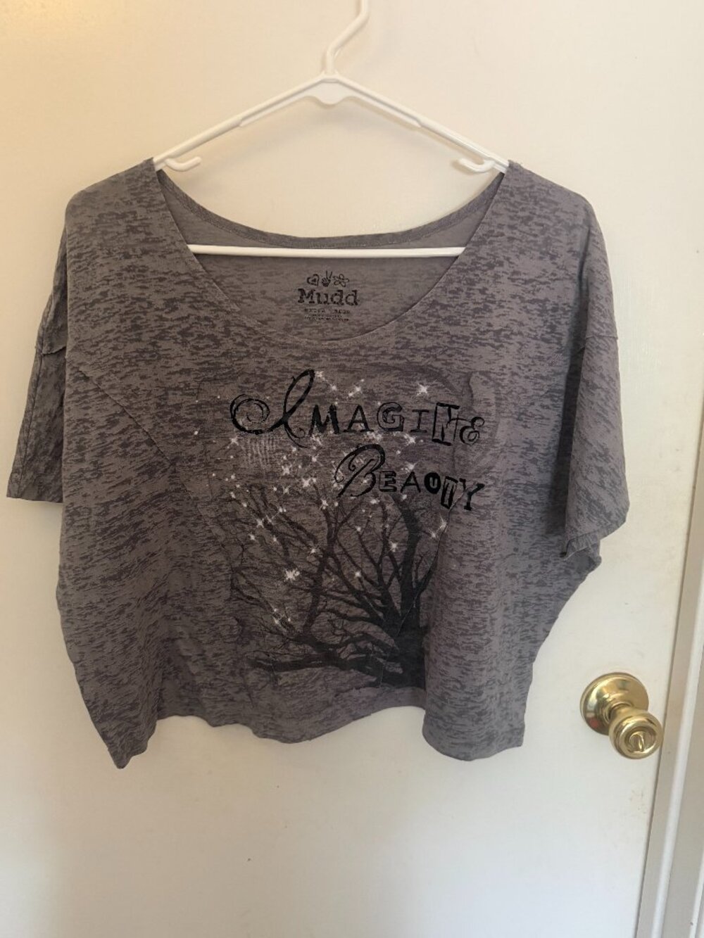 Mudd Gray Crop Top J XL